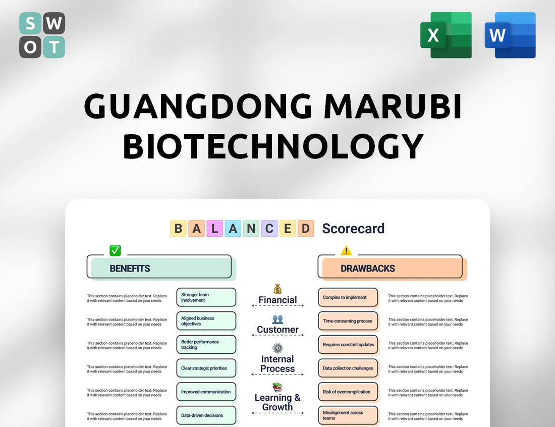 Guangdong Marubi Biotechnology Balanced Scorecard