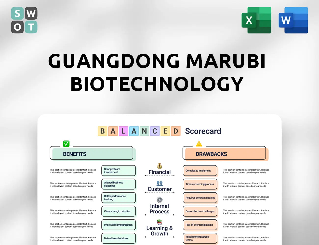 Guangdong Marubi Biotechnology Balanced Scorecard