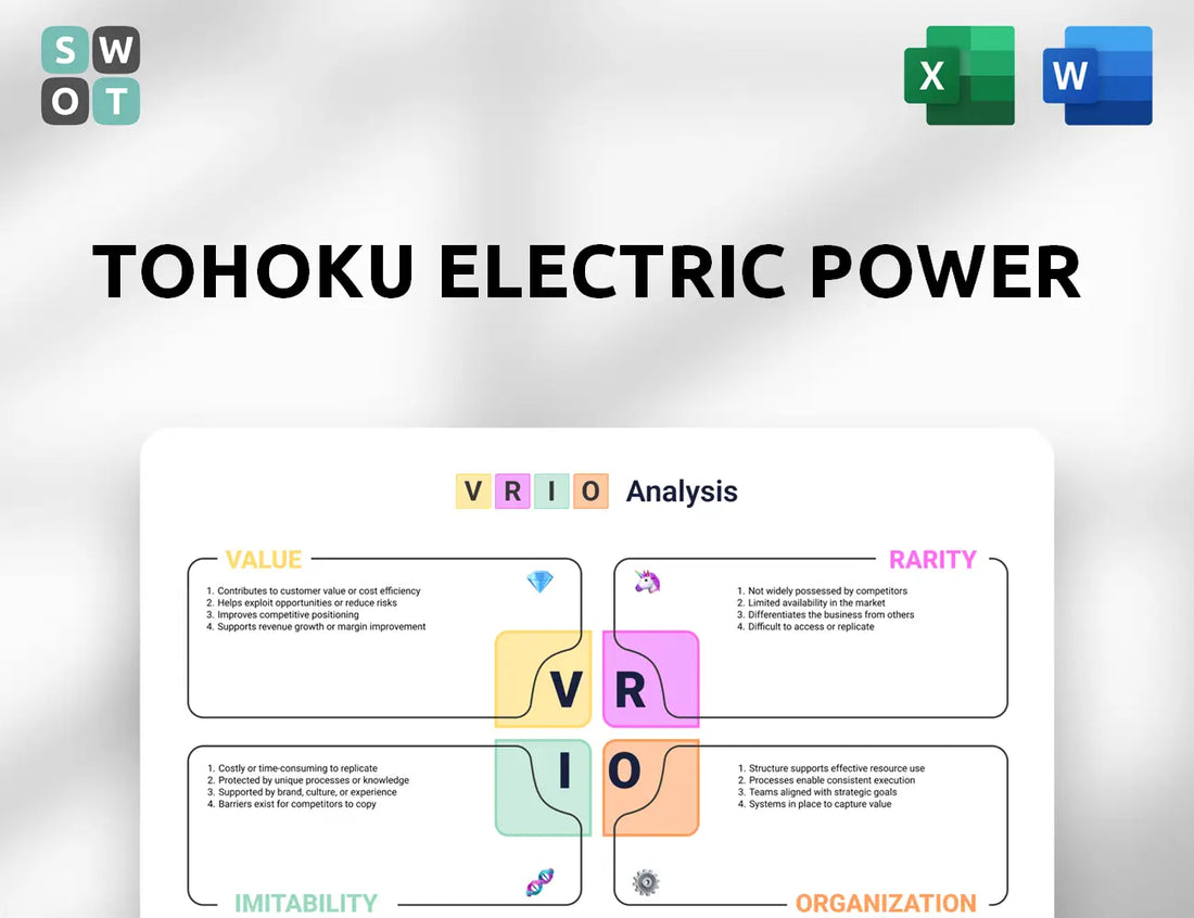 Tohoku Electric Power VRIO Analysis