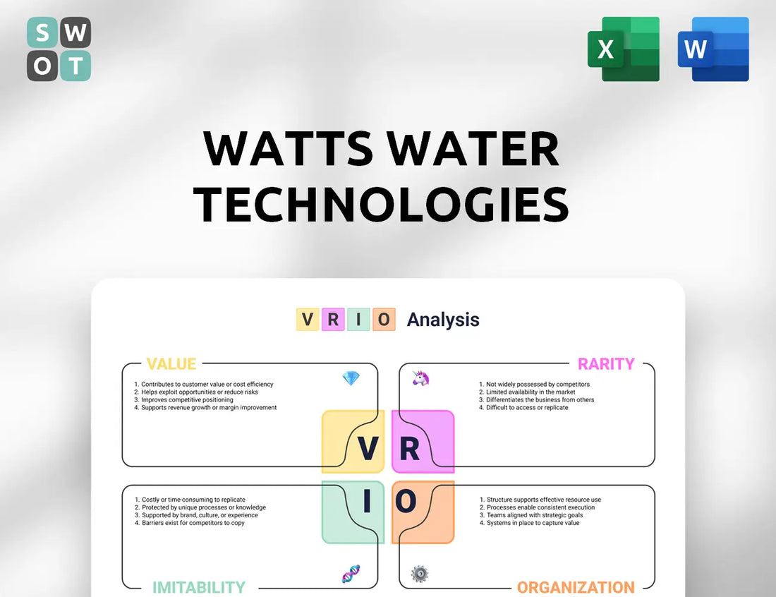 Watts Water Technologies VRIO Analysis